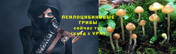 СК Аркадак