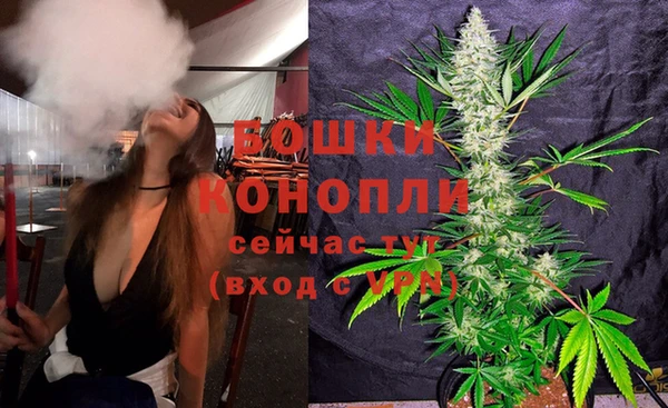 СК Аркадак