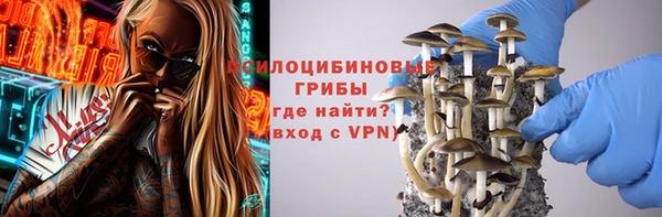 мет Арсеньев