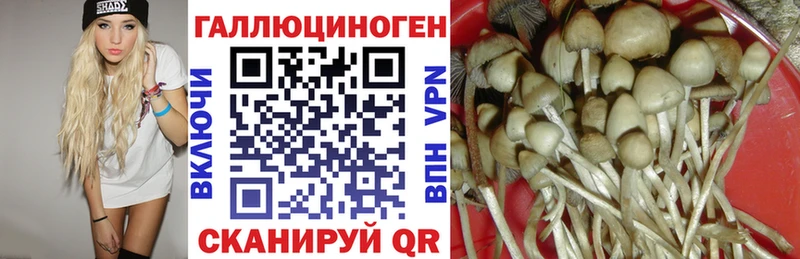 Псилоцибиновые грибы Psilocybe наркота Новый Уренгой